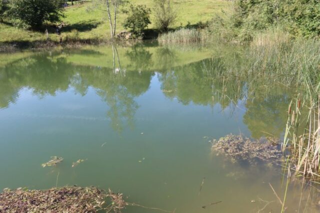 Sängerausflug_23.042