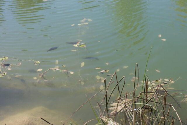 Sängerausflug_23.043