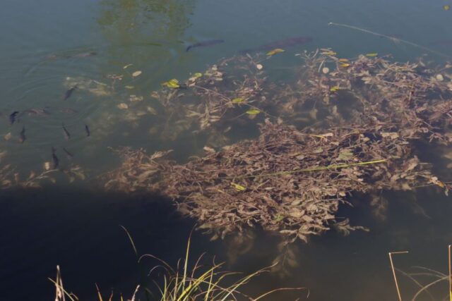 Sängerausflug_23.044