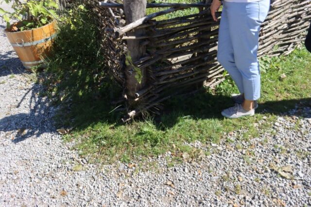 Sängerausflug_23.055