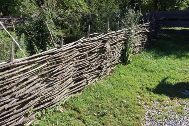 Sängerausflug_23.057