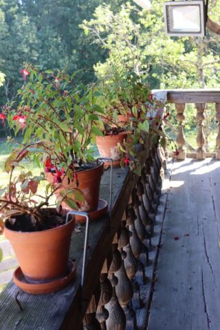 Sängerausflug_23.061