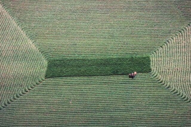 Sängerausflug_23.065