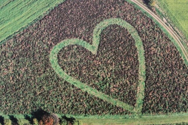 Sängerausflug_23.068