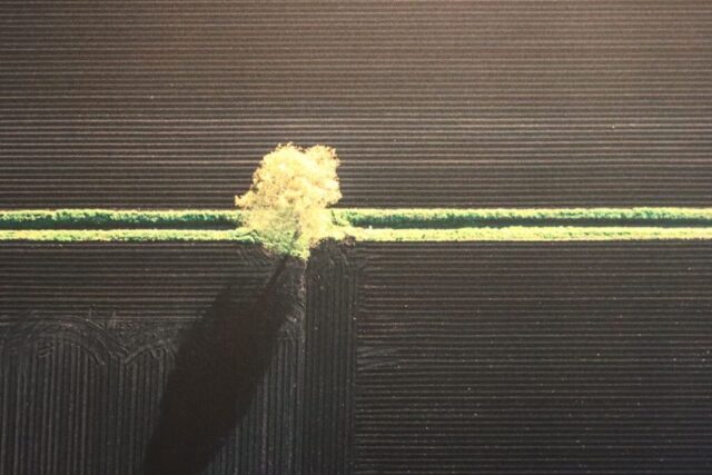 Sängerausflug_23.069