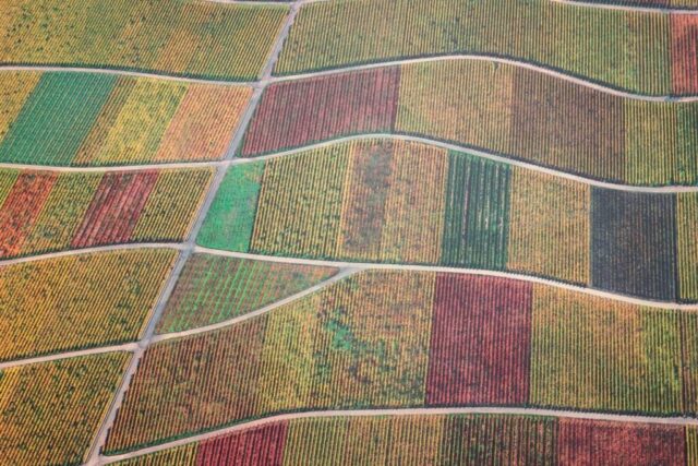 Sängerausflug_23.071